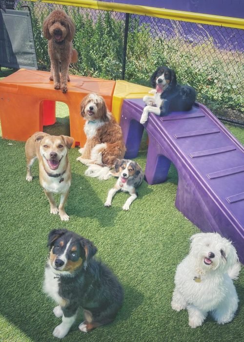 293182397_2208344819328851_8679089928590327021_n